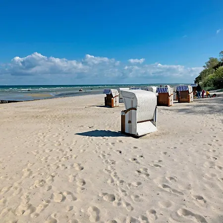 Gollwitzer Park Eulennest *