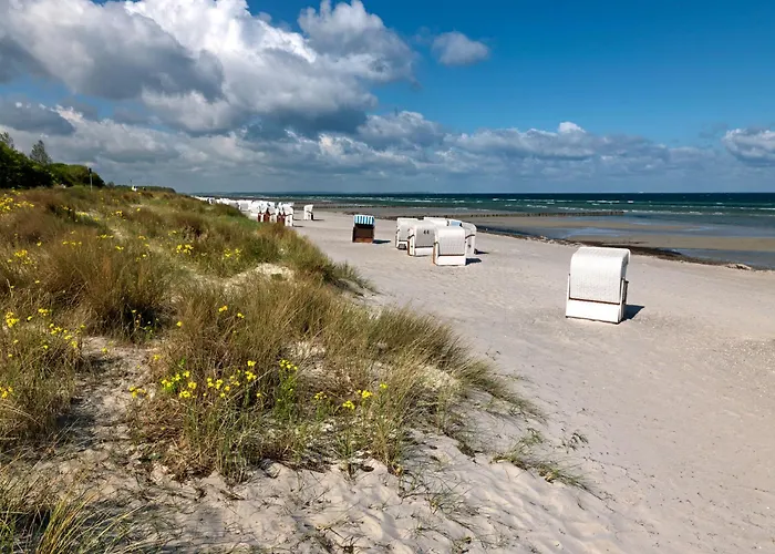 Gollwitzer Park Eulennest * Poel