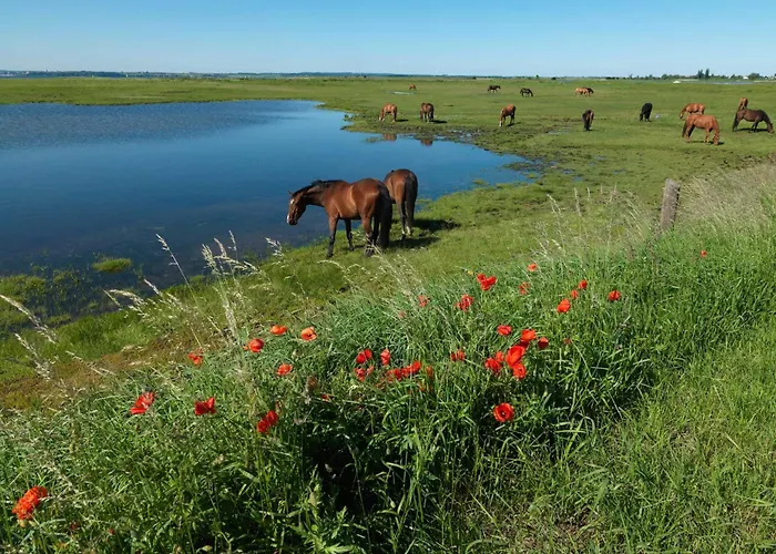 Lejlighed Gollwitzer Park Eulennest