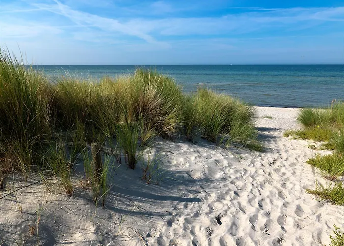 Gollwitzer Park Eulennest Poel