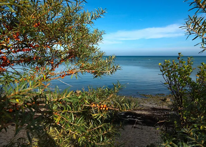 Gollwitzer Park Eulennest Lejlighed
